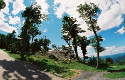 treesskyline.jpg - Skyline Drive w/ Fisheye lens