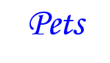 Pets